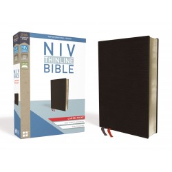 NIV Thinline Bible/Large...