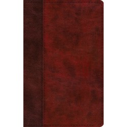 ESV Thinline Bible/Large...