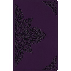 ESV Large Print Value...