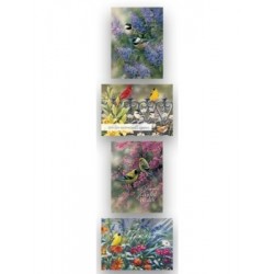 Card-Boxed-Shared...
