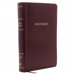 KJV Personal Size Giant...