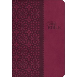 KJV King James Study Bible...
