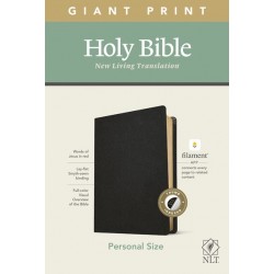 NLT Personal Size Giant...