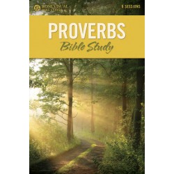 Proverbs (Rose Visual Bible...