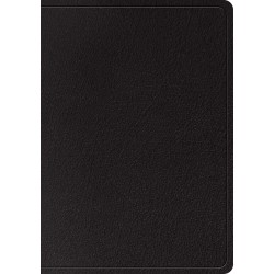 ESV Large Print/Wide Margin...