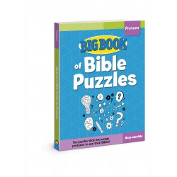 Big Book Of Bible Puzzles...