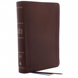KJV Open Bible (Comfort...