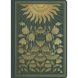 ESV Illuminated Scripture...