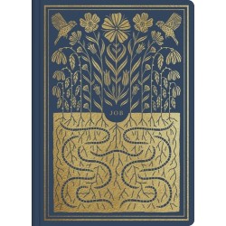 ESV Illuminated Scripture...