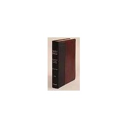 NIV Scofield Study Bible...