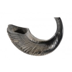 Shofar-Rams Horn-CC...