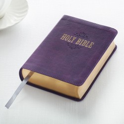KJV Compact/Large Print...