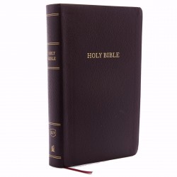 KJV Personal Size Giant...