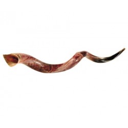 Shofar-Yemenite-Jumbo