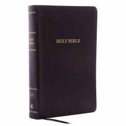 KJV Personal Size Giant...