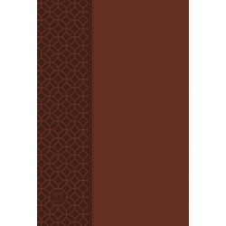 The Passion Translation New...