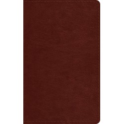 ESV Pocket Bible-Chestnut...