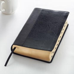 KJV Giant Print Bible-Black...