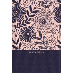 Span-RVR 1960 Large Print...