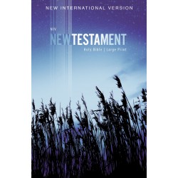 NIV Outreach New...