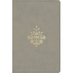 ESV Compact Bible-Stone...