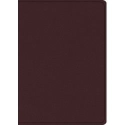 ESV Study Bible/Large...