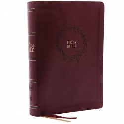 KJV Open Bible (Comfort...