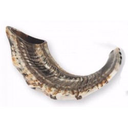 Shofar-Ram Horn Natural...