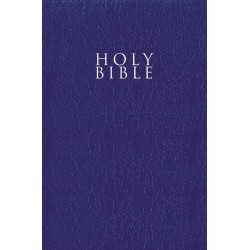NIV Gift & Award Bible...