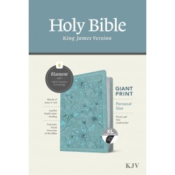 KJV Personal Size Giant...