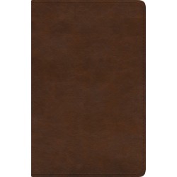 ESV Spanish/English...