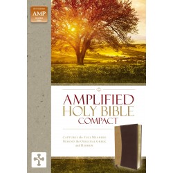 Amplified Holy...
