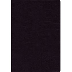 NASB Thinline Bible...