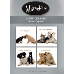 Card-Marvelous Better...