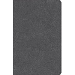 CSB Thinline Bible-Charcoal...