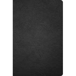 NASB 2020 Giant Print...