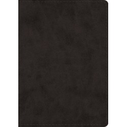 ESV Study Bible/Large...