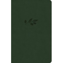 CSB Thinline Reference...