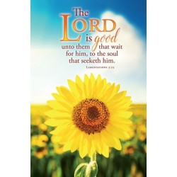 Bulletin-The Lord Is Good...