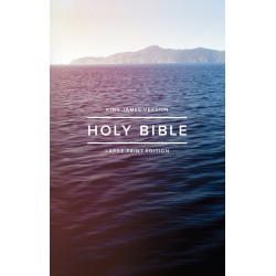 KJV Outreach Bible  Large...