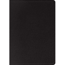 ESV Study Bible/Large...