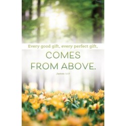 Bulletin-Every Good Gift...