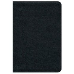 NRSV Premium Bible-Black...