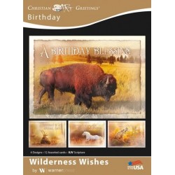 Card-Boxed-Wilderness...