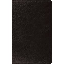 ESV Thinline Bible/Large...