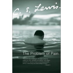 Problem Of Pain