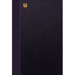 NASB The Grace And Truth...