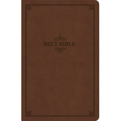 KJV Thinline Bible (Value...