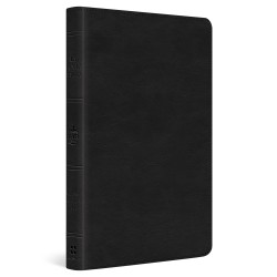 Span-RVR 1960 Holy Bible...