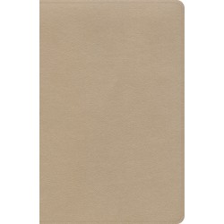 KJV Thinline Bible-Gold...